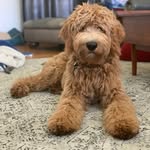 Theodore Newcomb - @teddyleenewcomb - Instagram