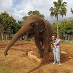Susanne Wellsted - @susannewellsted - Instagram