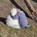 Ted Newman - Facebook