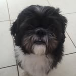 Tedney Frederex - @ted_ney - Instagram
