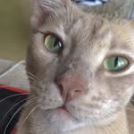 TedNey Jr - @tedneyjr - Instagram