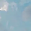 nicole - @nicolted - TikTok