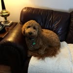 Ted Nielsen - @nielsen.ted - Instagram