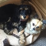 Noah, Phoebe & Ted - @noahphoebeandted - Instagram