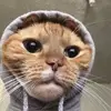 Noah😨 - @trxstednoah - TikTok