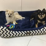 @ted__noah - Instagram