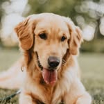 Teddy & Noah - @raising.riggins - Instagram