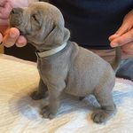 Teddy Noblestaff Farish - @teddy_noblestaff_farish - Instagram