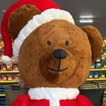 TED - @ted.noelg56 - Instagram