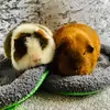 Norris and ted - @norrisandted - TikTok