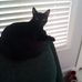 Ted Novak - Facebook