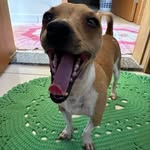 Ted - @ted_novakowski - Instagram