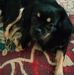 Ted Nowak - Facebook