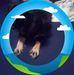 Ted Nowak - Facebook