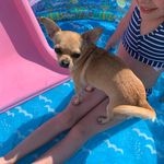 Teddy Nuttall - @teddy_beddy_bear - Instagram