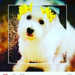 Ted O'Brien - @_.tedobrien._ - Instagram
