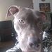 Ted Padgett - Facebook