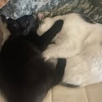 Paxton and Teddy - @paxton_and_teddy - Instagram