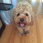 Teddy Paxton D'Angelo - @teddypaxtondangelo - Instagram