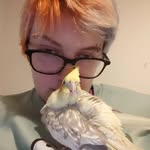 teddy/paxton/milo - @ctrlko0 - Instagram