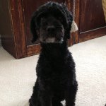 @tedpearson - Instagram