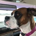 Ted Pierce - @ted.pierce.9406 - Instagram