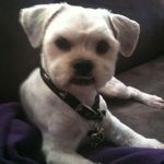Ted Pierce - @ted.pierce.146 - Instagram