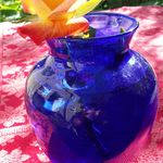ted pierce - @tedthered1127 - Instagram