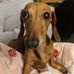 Ted Potter - Facebook