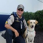 Ted Priest - @k9teddy - Instagram