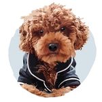 🧡 M͏r͏. T͏e͏d͏ | P͏a͏n͏ T͏a͏d͏e͏u͏s͏z͏ - @teddy.the.prince - Instagram