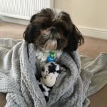 Teddy Pritchard - @xxitzteddyxx - Instagram