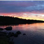 Ted Quigley - @quigleyted709 - Instagram
