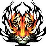Ted Rader - @rader.ted - Instagram