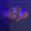 Teddy - @teddycrader - TikTok