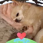 Lill Gjedsted Rasmussen - @lillgjedstedrasmussen - Instagram