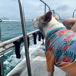 Ted Reed - @adventure_reed - Instagram