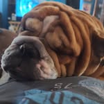 Ted Reed - @tedreed57 - Instagram