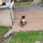 Ted Reed - @ted.reed.12532364 - Instagram