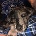 Ted Reed - Facebook