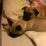 REG AND TED SUPREMACY - @regand_ted - Instagram