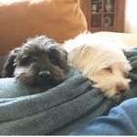 Reggie And Teddy - @regandted - Instagram