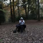 ted regan - @tedregan5 - Instagram