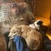Ted Rhodes - Facebook