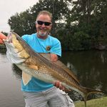 Ted Rhodes - @tedrhodes1 - Instagram