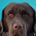 Ted Riche - Facebook