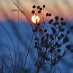 Tedrich - @tedrichelox - Instagram