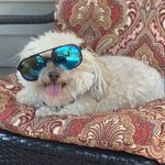 Teddy  Bear Richey - @teddybear_da_savage1 - Instagram