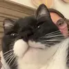 Teddi - @teddiriddle - TikTok