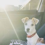 Tom Teddy Riddle - @tomteddyriddle - Instagram